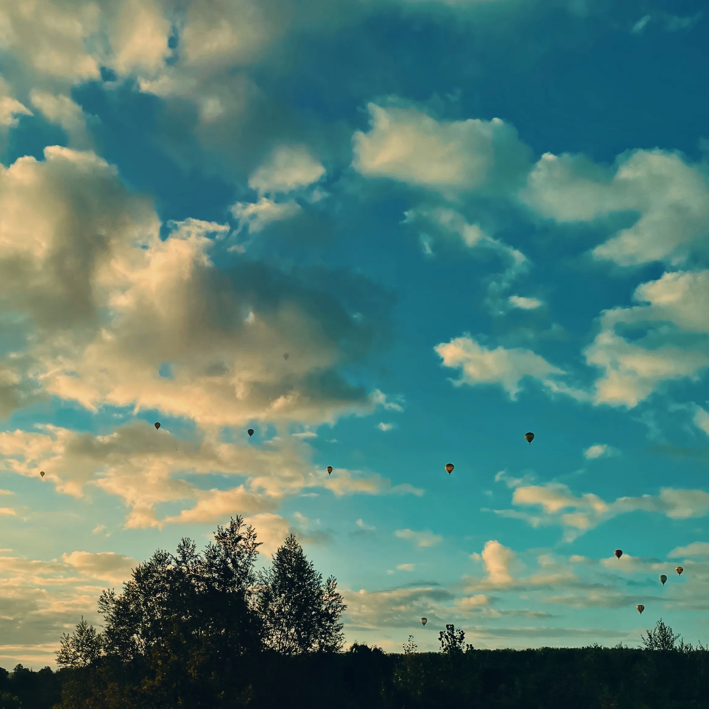 Hot Air Balloons