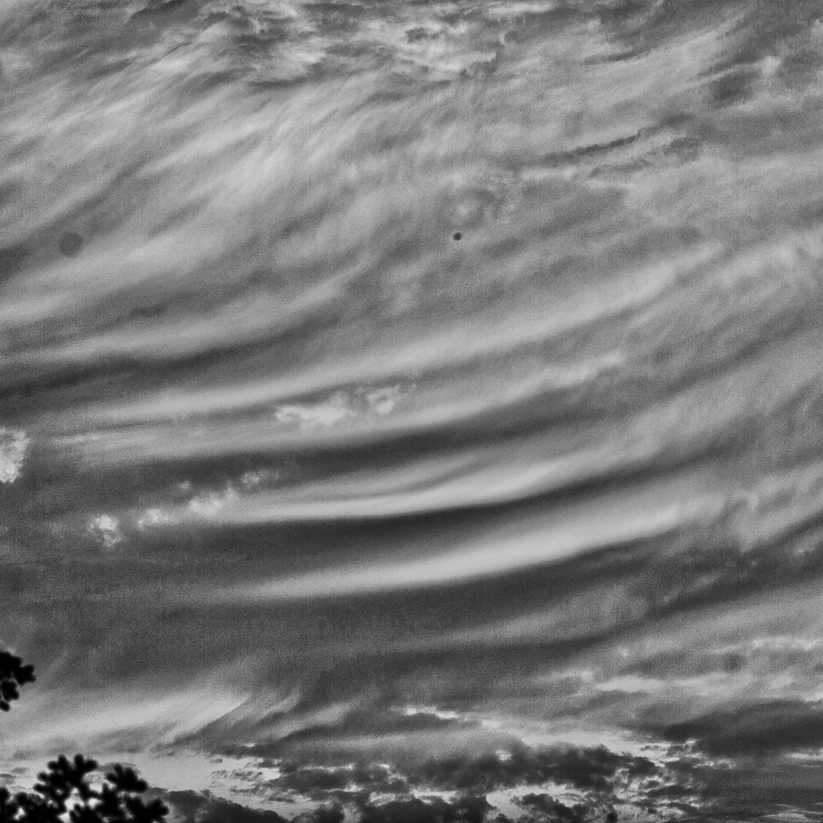 Skies