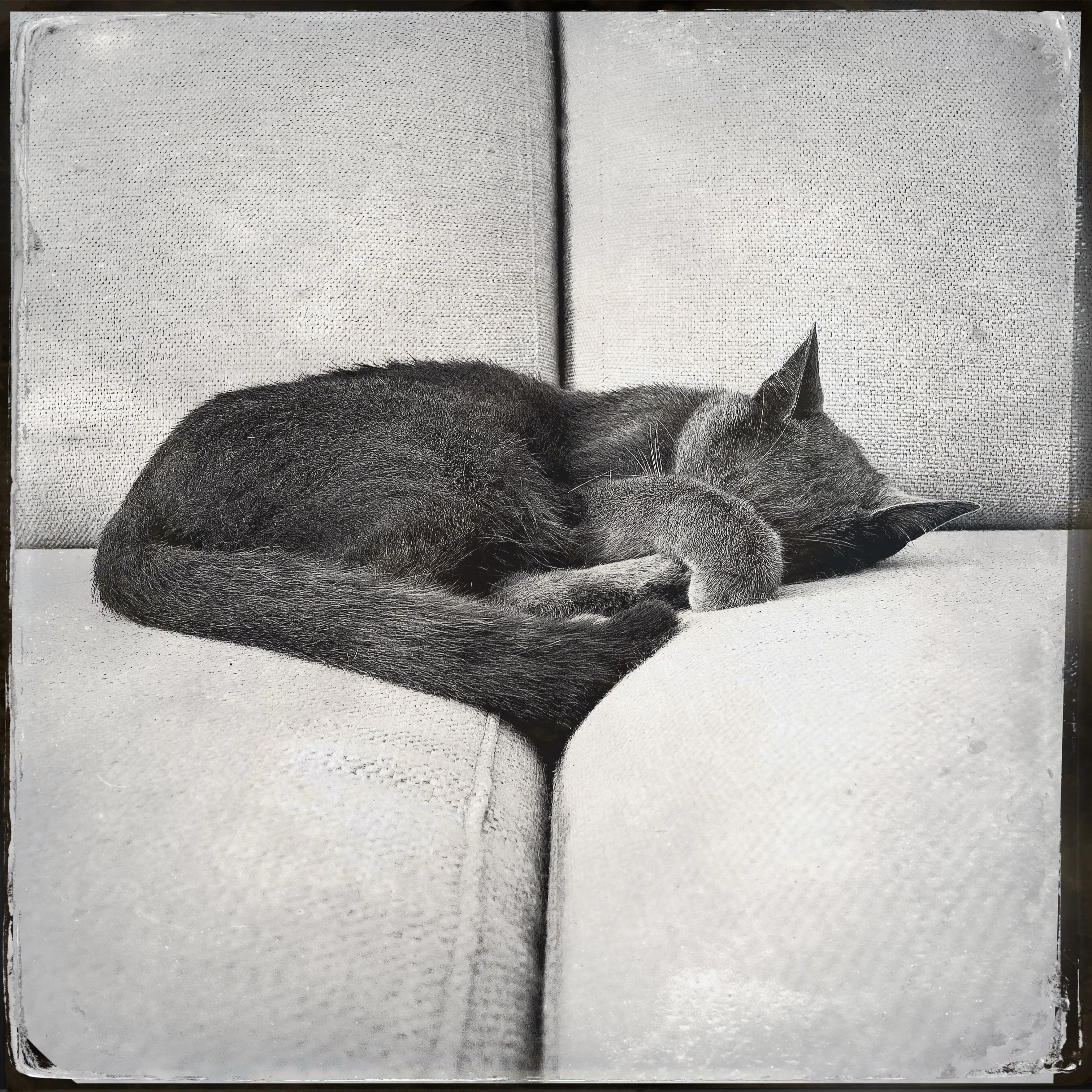Soho Sleeping